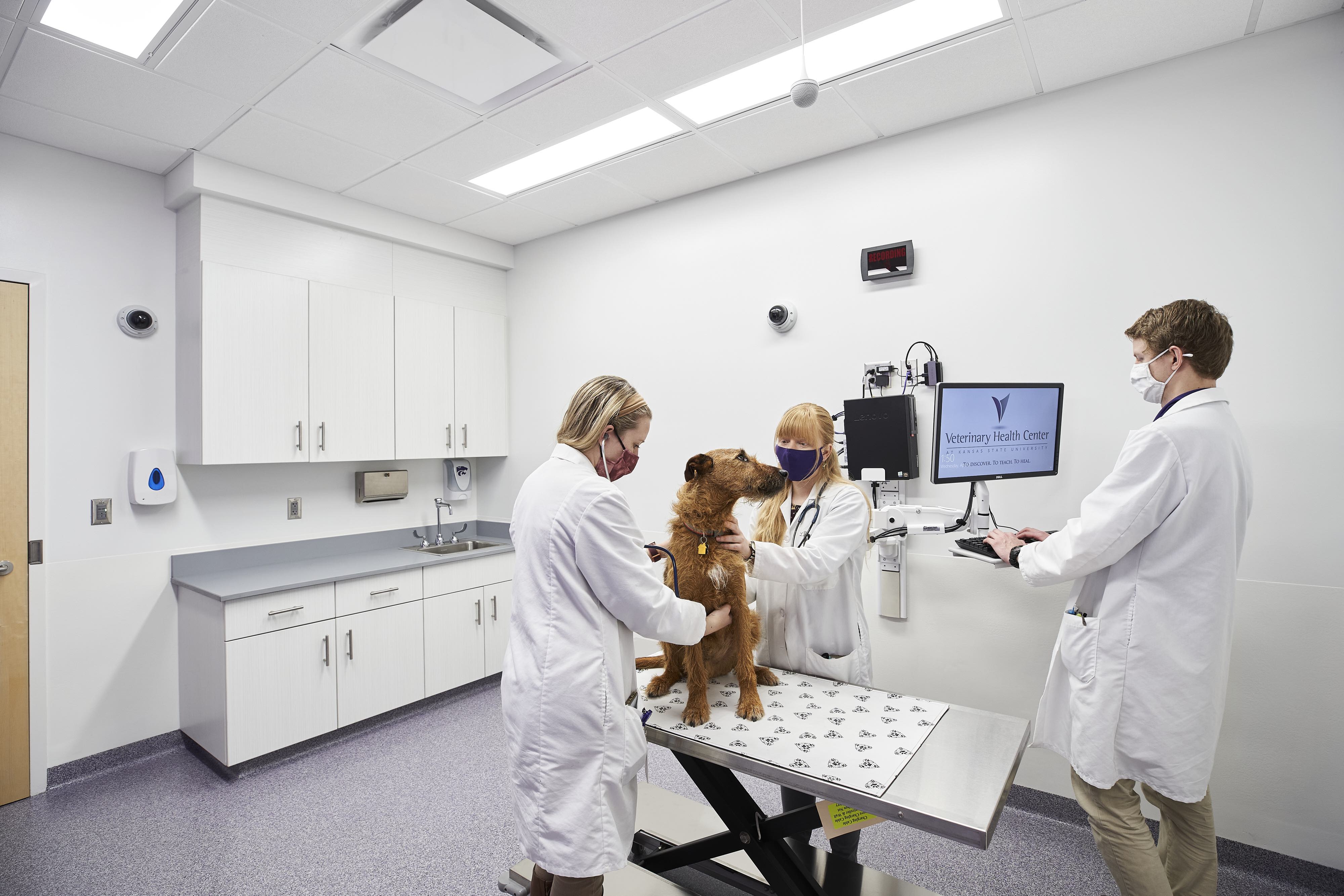 Veterinary health best sale services